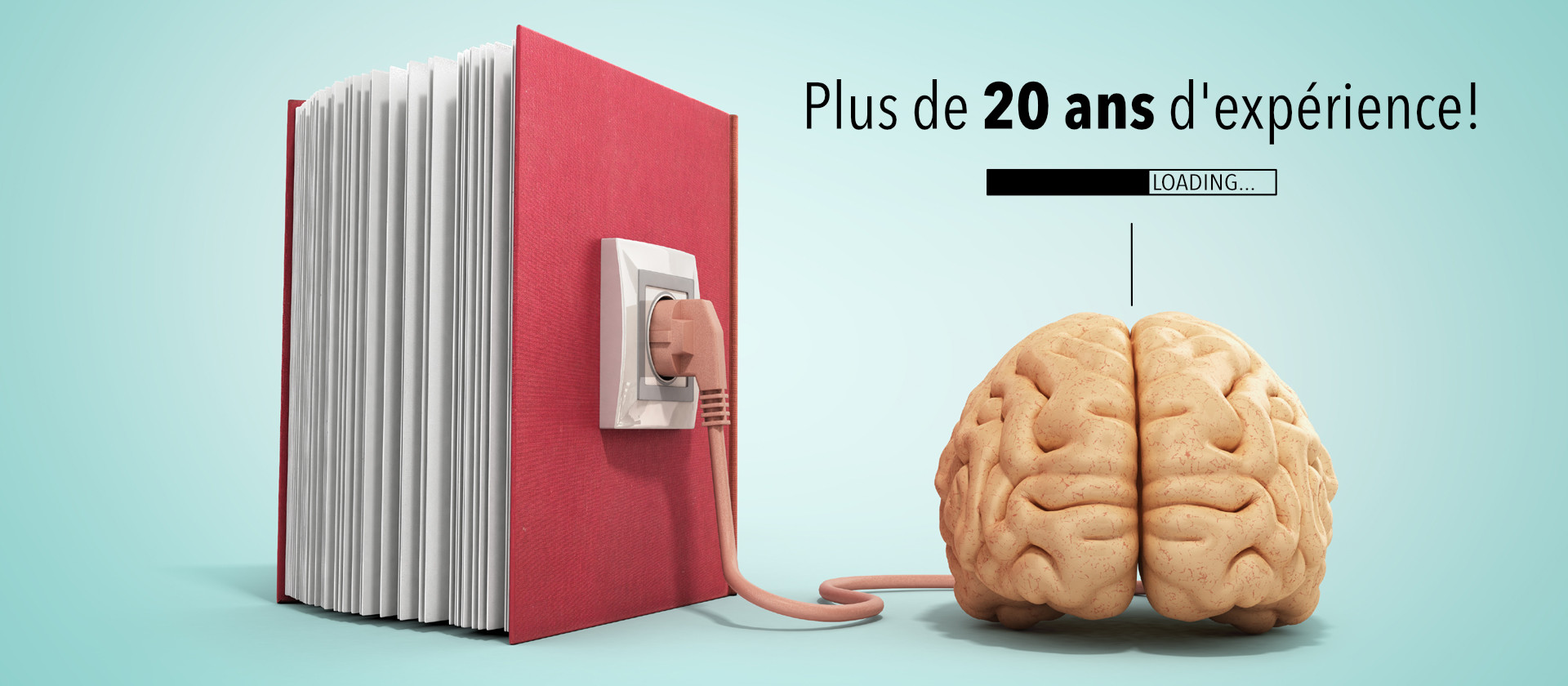 over 19 years experience